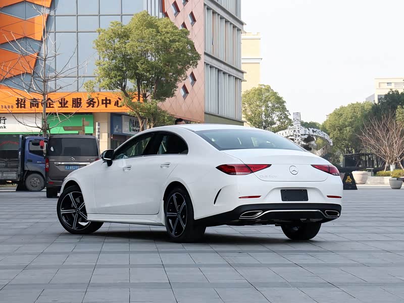 奔驰(进口) 奔驰cls级 2020款 cls 300 豪华型 北极白 车身外观 分类