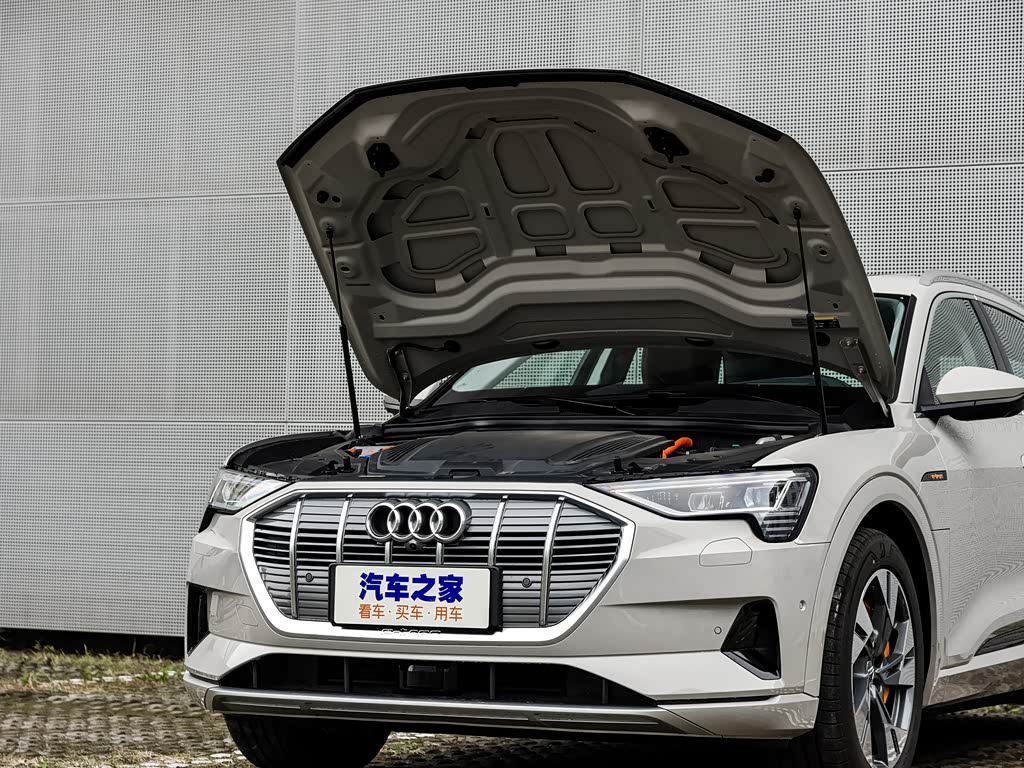 奥迪(进口) 奥迪e-tron(进口) 2019款 55 quattro 专享型