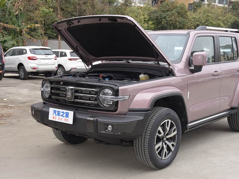 【图解图片_北京寰宇标特wey4s店坦克300图片】-汽车之家