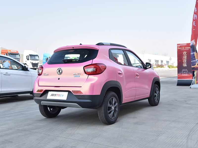 东风风行 风行t1ev 2020款 豪华型 中控方向盘 已经是最后一张,您还