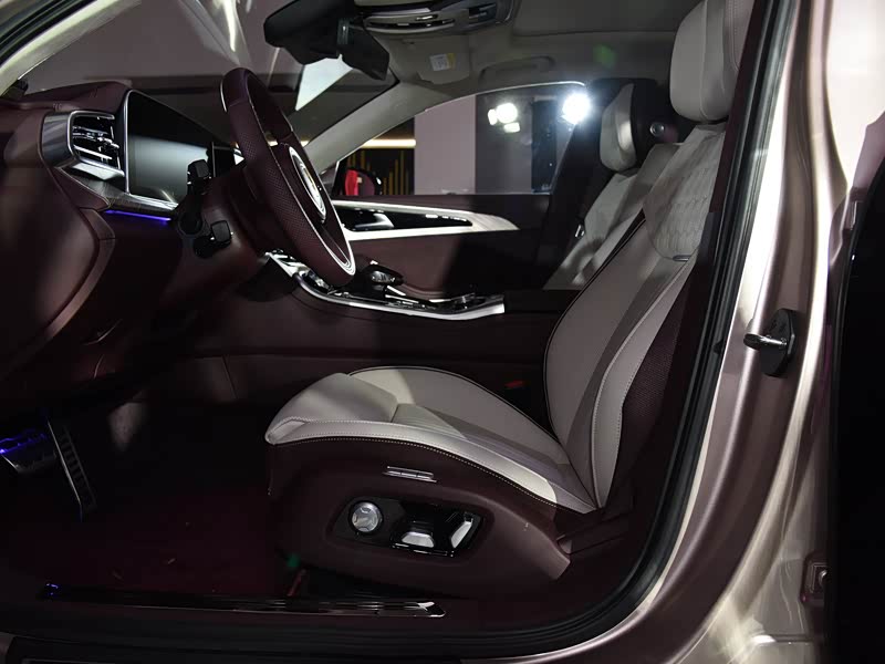 一汽红旗 红旗h9 2020款 3.0t 智联旗领四座版