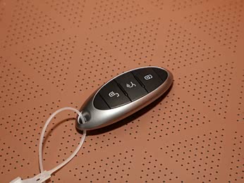 【2022款 20td 自动尊享型特装版 报价】奔腾t99图片_配置_一汽奔腾鑫