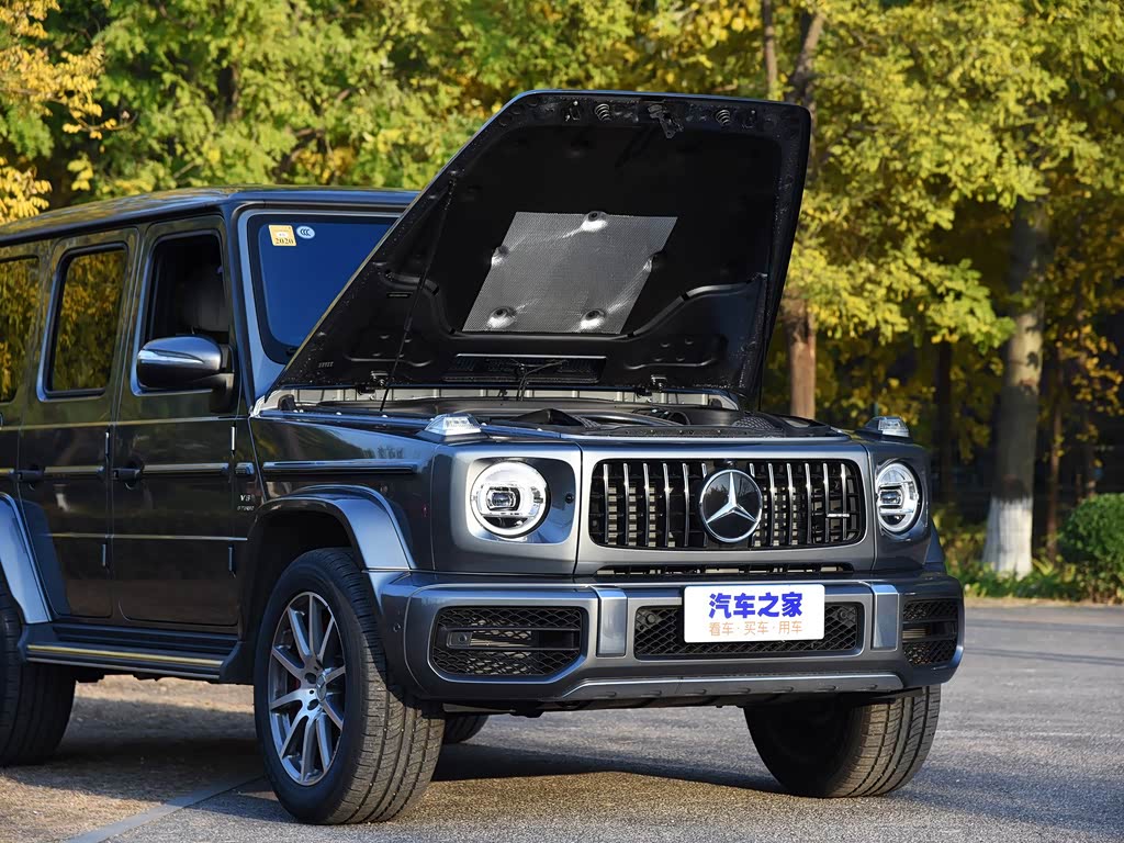 梅赛德斯-amg 奔驰g级amg 2019款 amg g 63