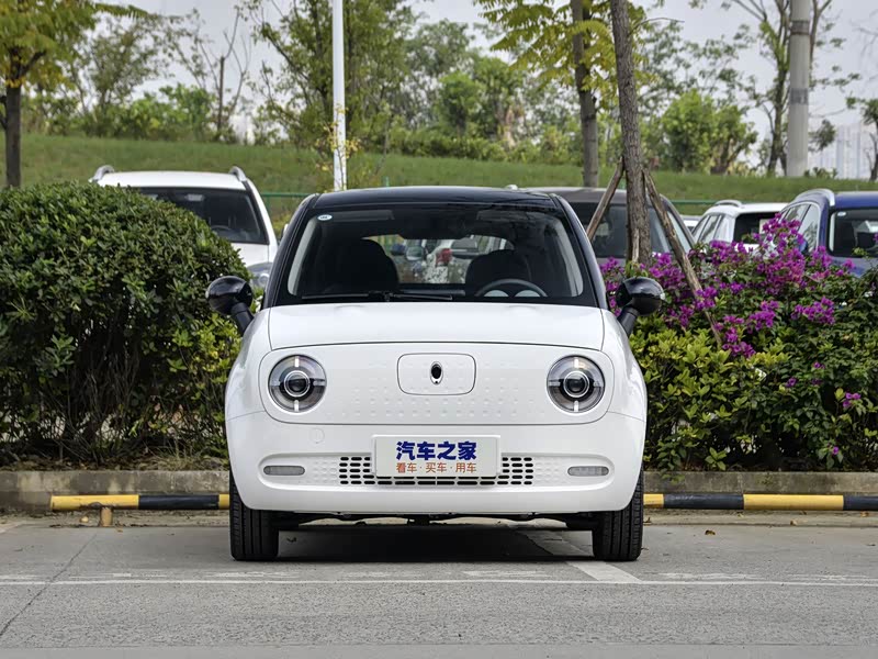 长城汽车 欧拉r1 2019款 351km 亲子版