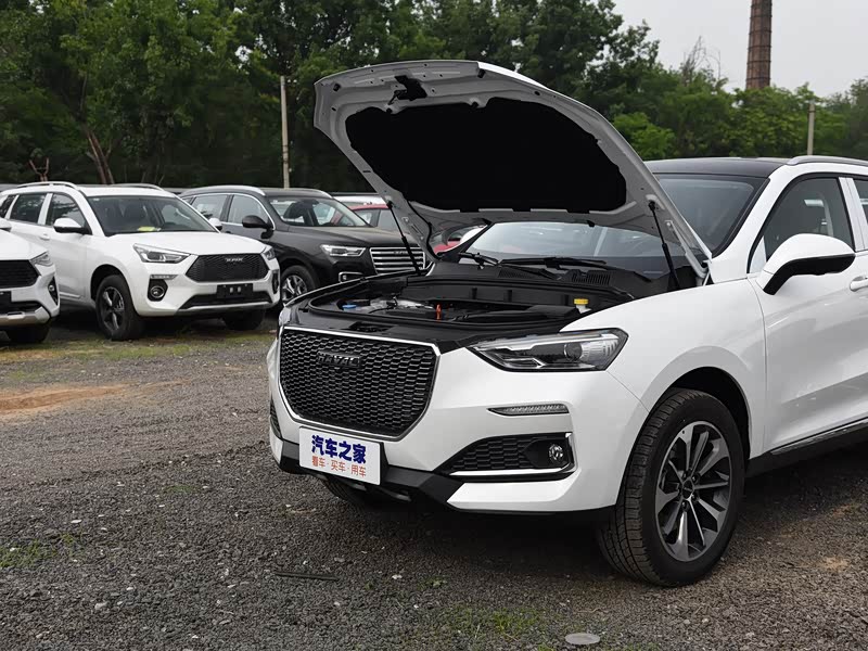 长城汽车 哈弗f5 2019款 国潮版 1.5t i潮 国vi