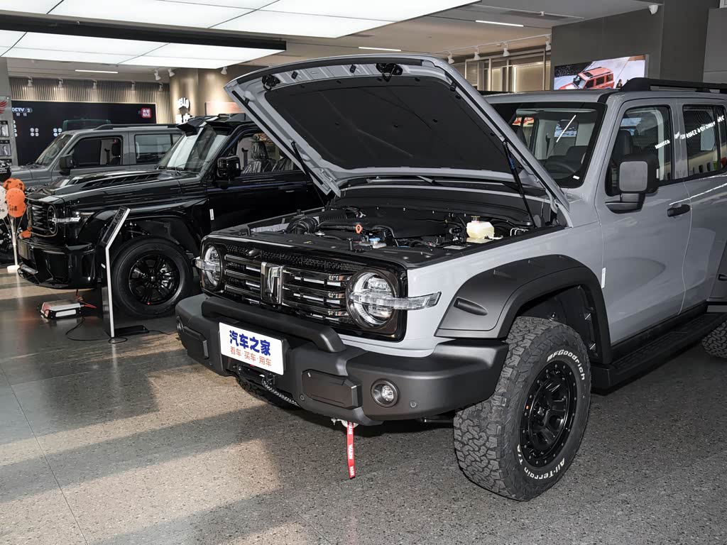 长城汽车 坦克300 2022款 2.0t 坦克游侠