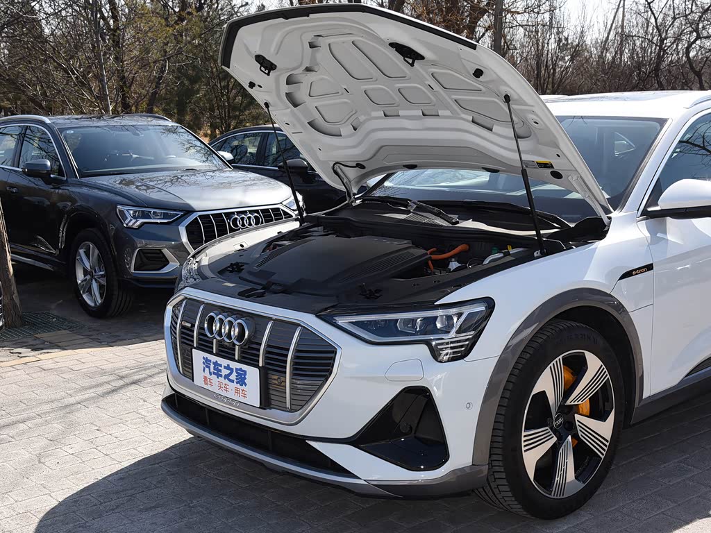 奥迪(进口) 奥迪e-tron(进口) 2022款 sportback 55 quattro 臻选型