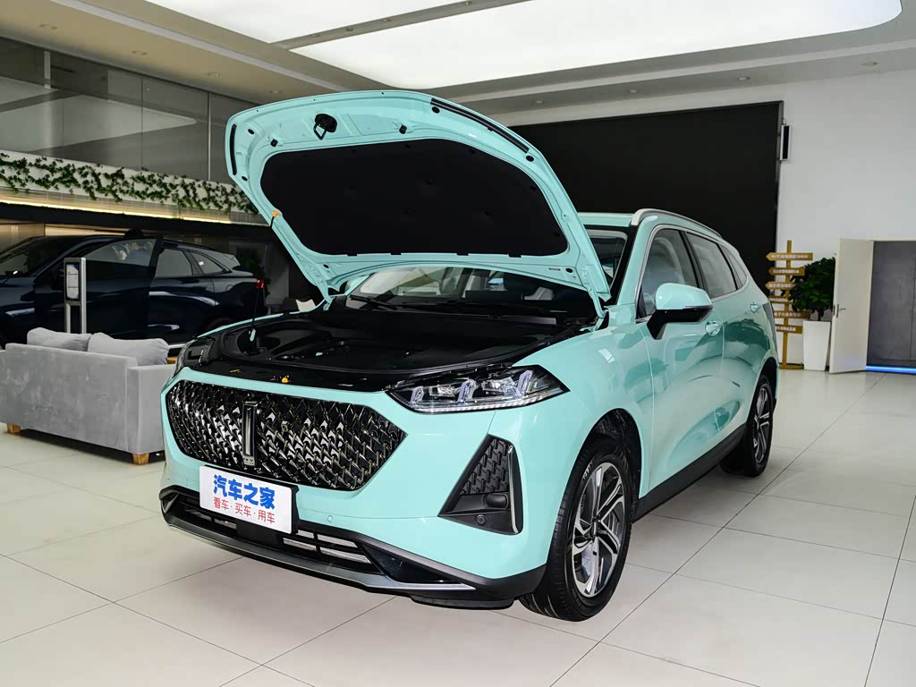 【图解图片_河南鸿辉wey4s店玛奇朵dht-phev图片】-汽车之家