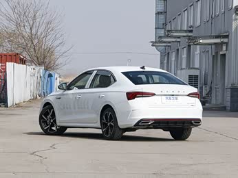 【2023款 改款 pro tsi280 尊享版 报价】明锐图片_配置_贵州乾通华盛