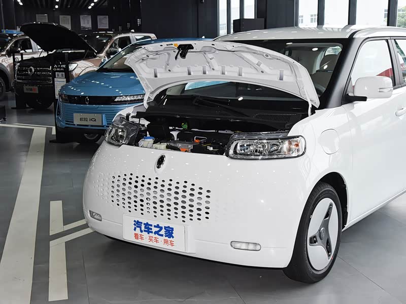 长城汽车 欧拉白猫 2020款 360km 标准型