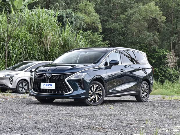 风行游艇售价13.99万元起  欢迎垂询