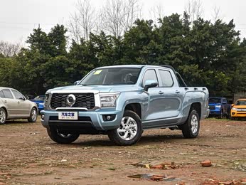 2022款20t手动汽油两驱创业型长箱平箱gw4c20b