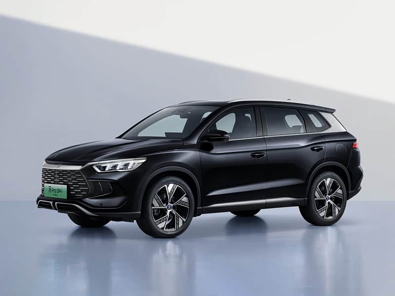 【图解图片_比亚迪王朝绍兴迪远4s店宋pro新能源图片】-汽车之家