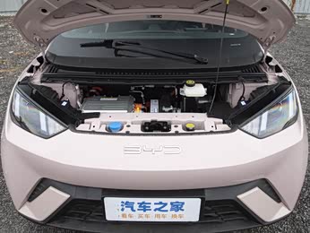 2024款 荣耀版 305km 活力版