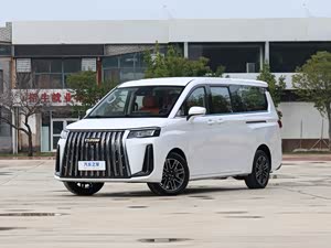 视频缩略图