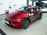 Model Y L