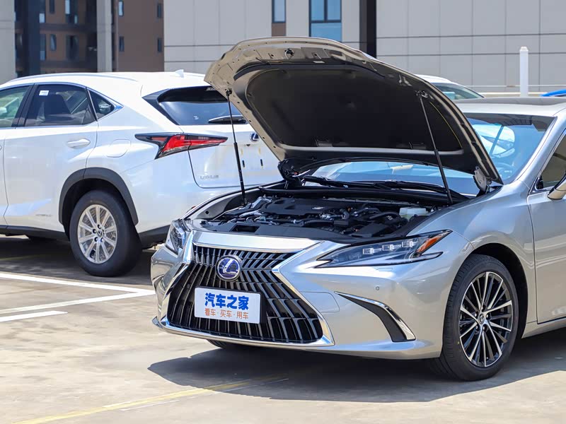 雷克萨斯 雷克萨斯es 2021款 300h 臻享版