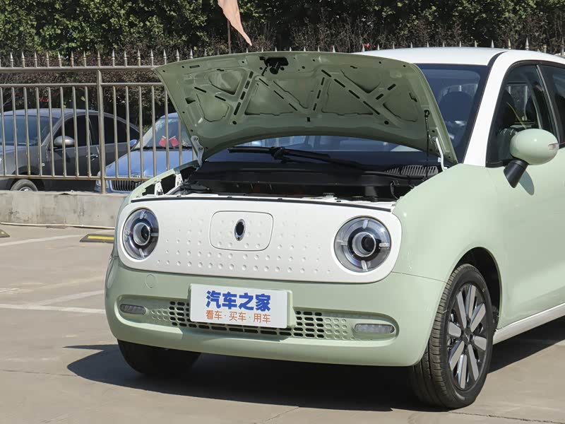 【图解图片_绍兴逸新欧拉ora欧拉黑猫图片】-汽车之家