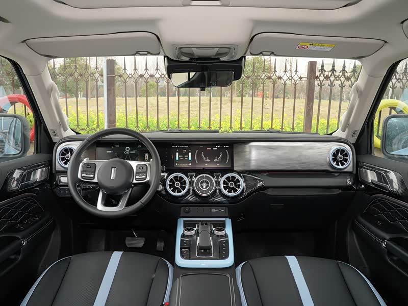 长城汽车 坦克300 2021款 2.0t 致敬莫奈限定版