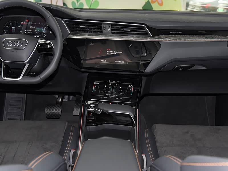 一汽-大众奥迪 奥迪e-tron 2021款 50 quattro 臻选型