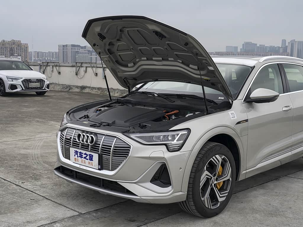 一汽奥迪 奥迪e-tron 2021款 50 quattro 臻选型