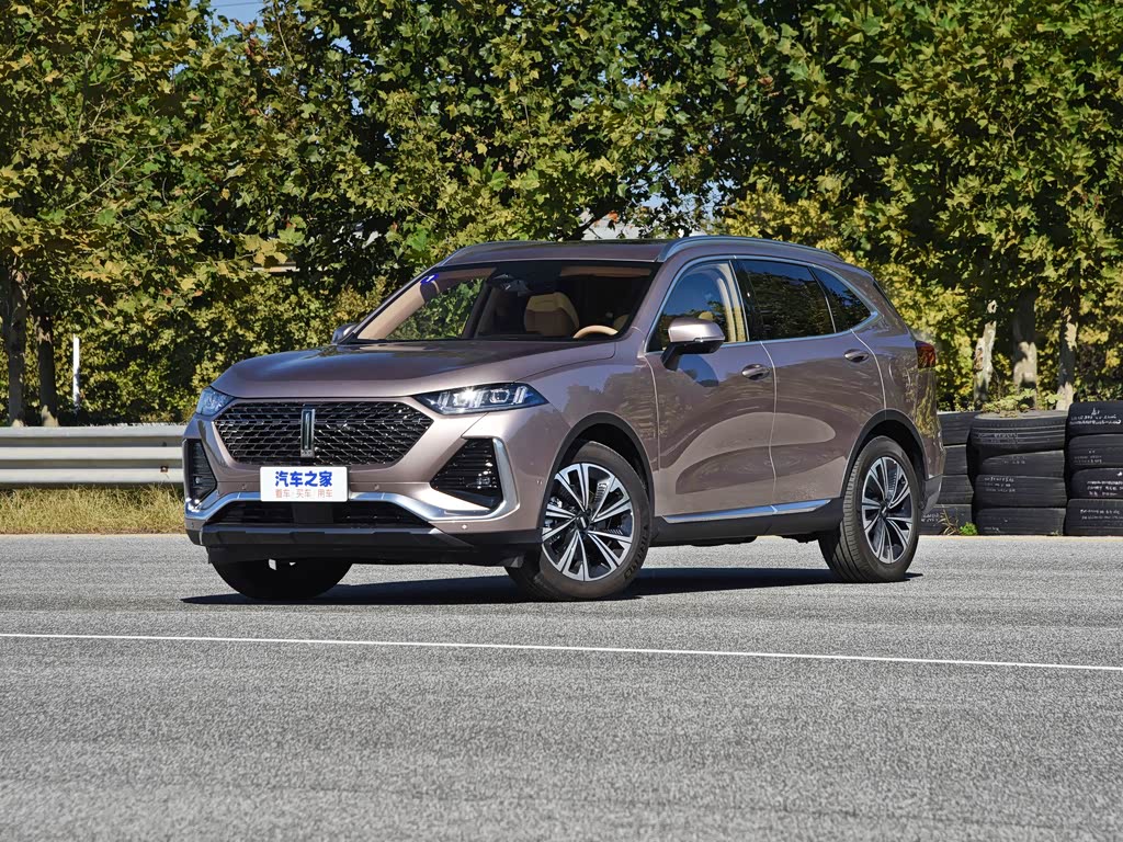 长城汽车 拿铁dht 2022款 1.5t dht超大杯