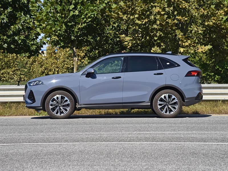 【图解图片_佳木斯安派wey品牌拿铁dht图片】-汽车之家