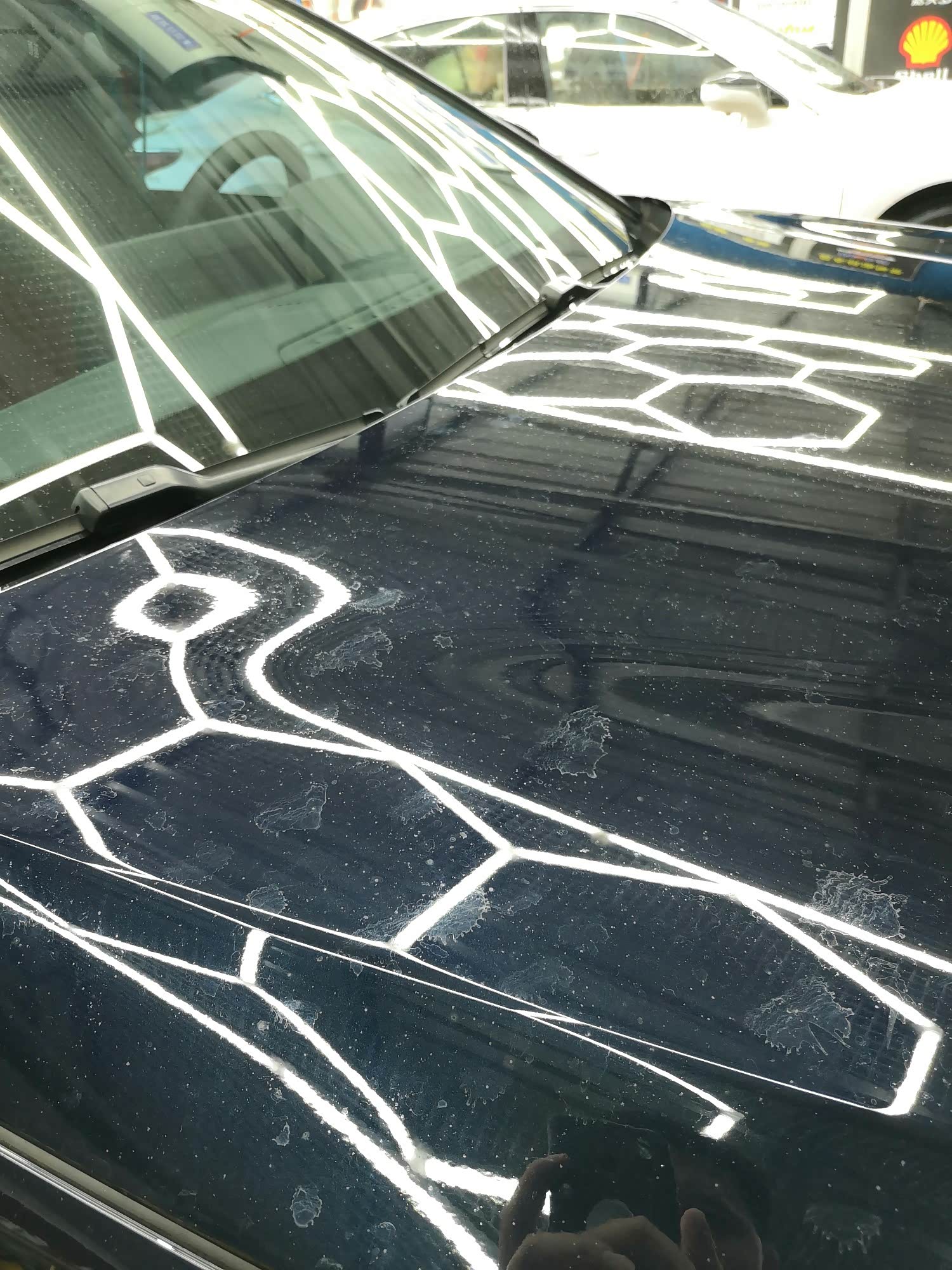 求助大神,树胶怎么去除啊?