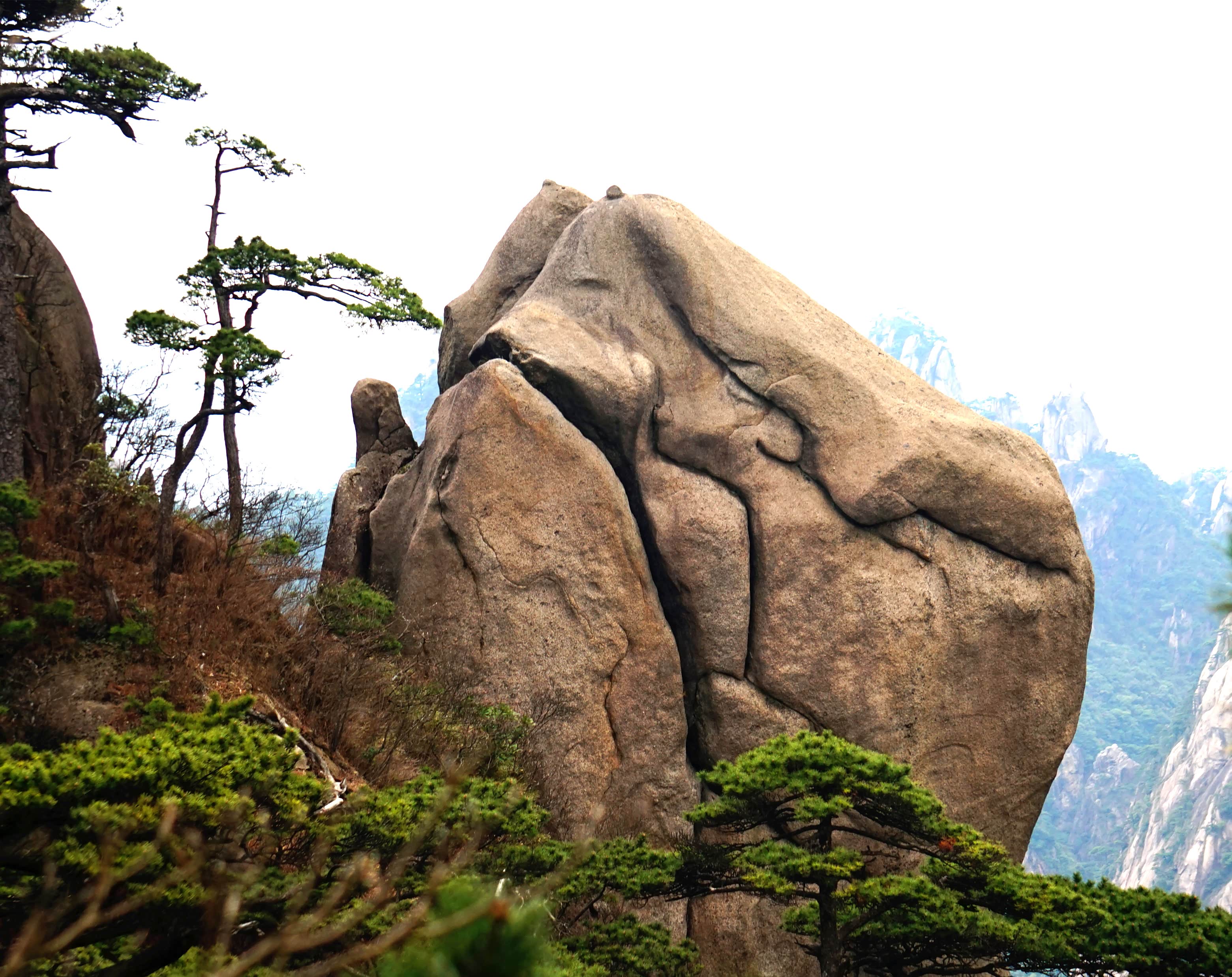 玉女开怀春露外欣欲自明白