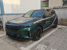 岚图FREE年度用车