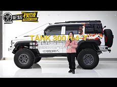 坦克300Hi4-T改装