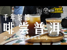 自驾普洱喝到了好咖啡