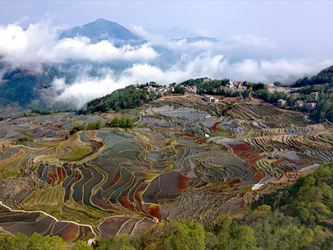 最大的梯田 云南红河州行漫游记