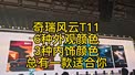 奇瑞风云T11，6种外观颜色，3种内饰颜色，总有一款适和你