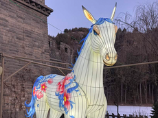 元旦假期结伴出行