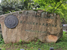周末遛娃放空的时间