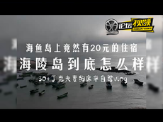 海陵岛打卡邂逅蓝眼泪