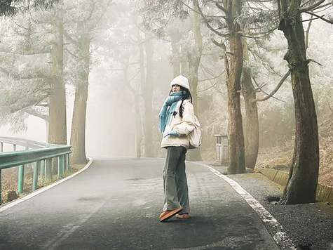 自驾追冬日限定！雾凇快乐拉满