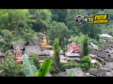 世遗景迈山寻傣族烤鸡