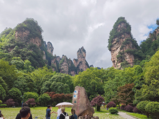 山东家庭漫游张家界