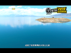 新疆西行自驾绝美风光
