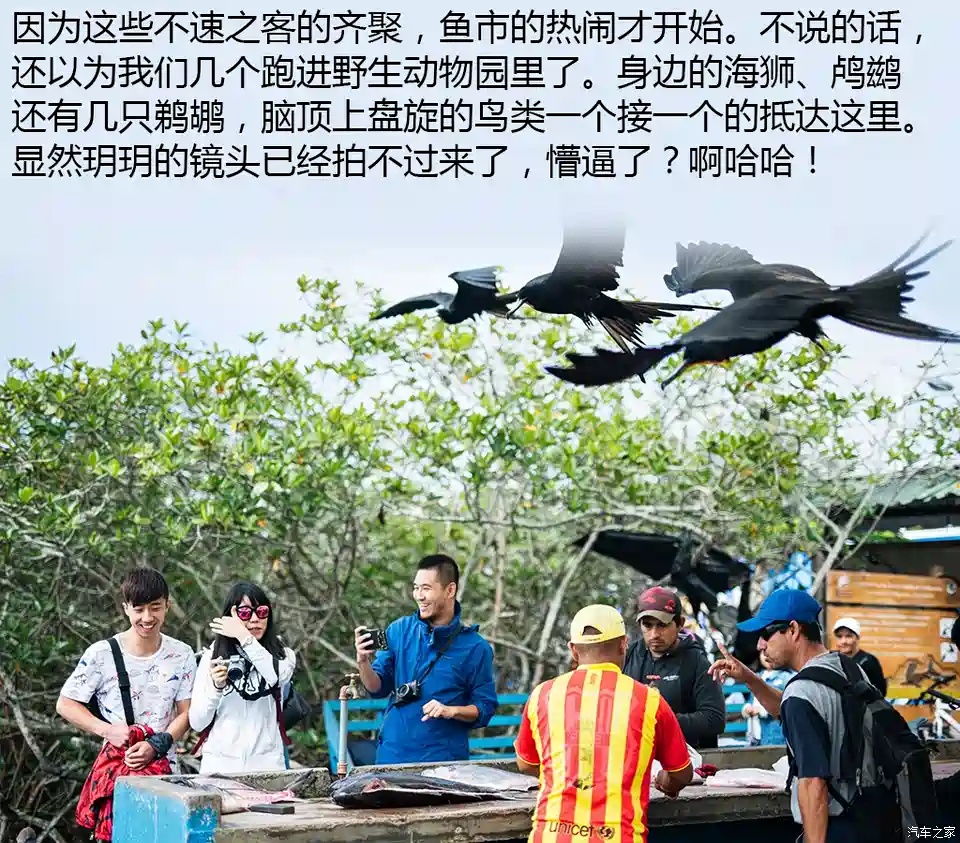 图】《本来的地球》奔袭：加拉帕戈斯群岛_汽车之家