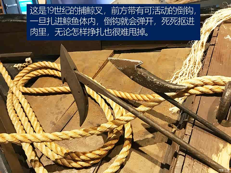 罗浩十一游美国