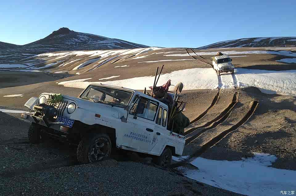 【图】藏羚羊还好吗?原来你是这样的可可西里_汽车之家